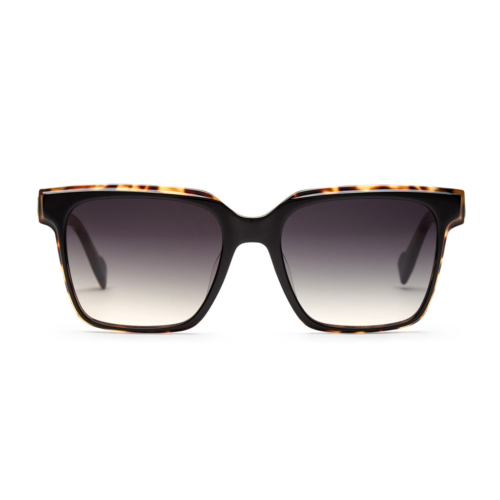 Black/Tortoise 101