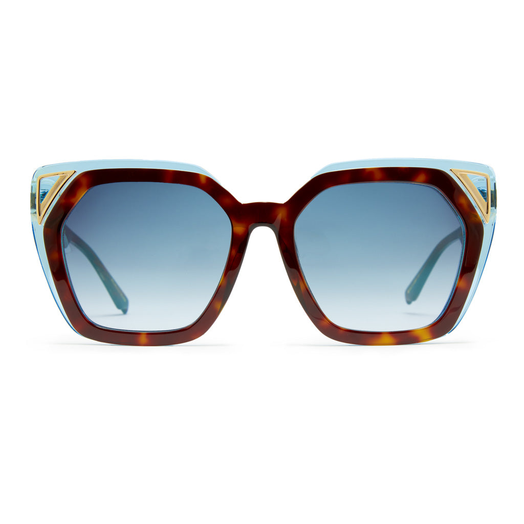 Blue/ Tortoise 101
